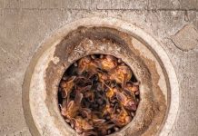 Morgan Hill teen wins national photography recognition