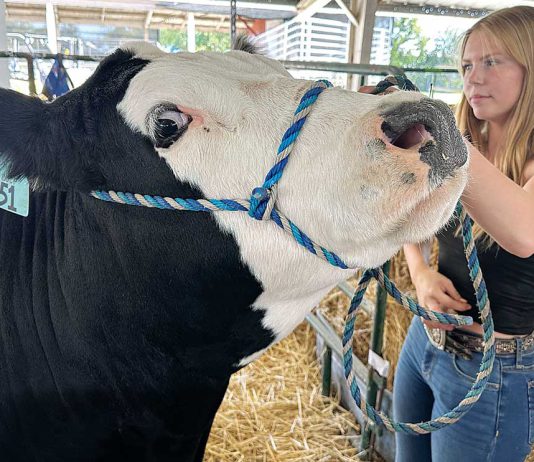Santa Clara County Fair moves to August