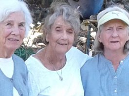 Former Morgan Hill Mayor Beth Wyman, known as trailblazer for local women, died Nov. 17