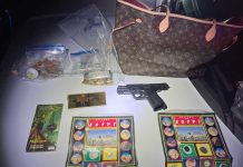 Two arrested after robbing Gilroy home, leading police on chase