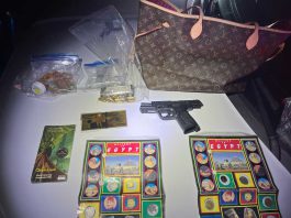 Two arrested after robbing Gilroy home, leading police on chase