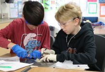 Gavilan College celebrates 25 years of Science Alive