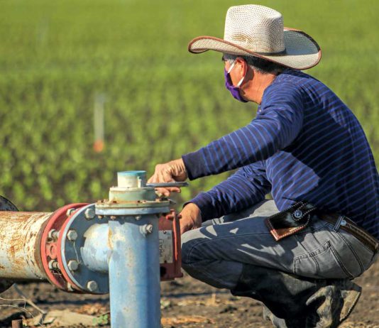 State reps push for farmworker tax credits, more overtime