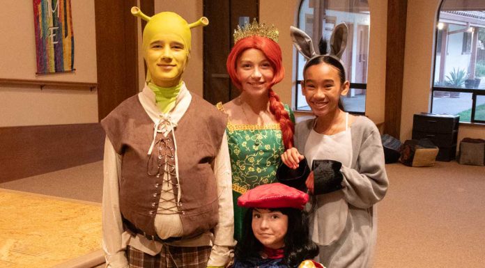 ‘Shrek Jr’ takes the stage at community playhouse