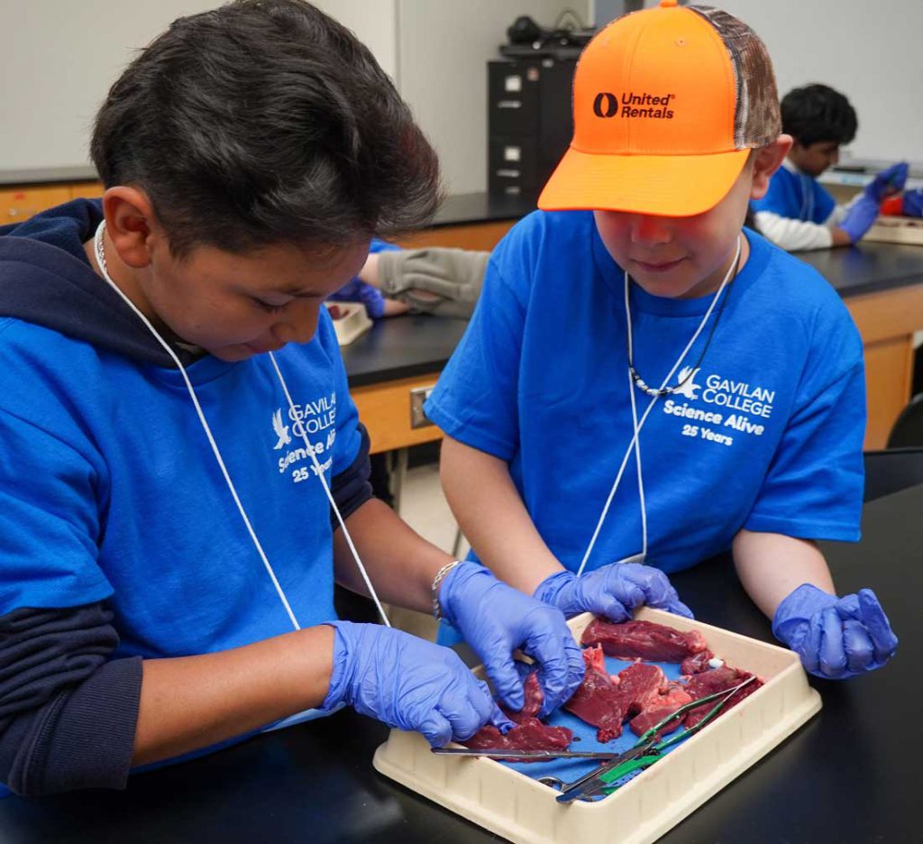 Science Alive marks 25th anniversary with Gavilan College event ...