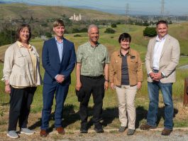 Electricity project aims to improve reliability, protect wildlife in South County