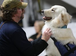 South Valley nonprofit marks 15 years saving people and dogs