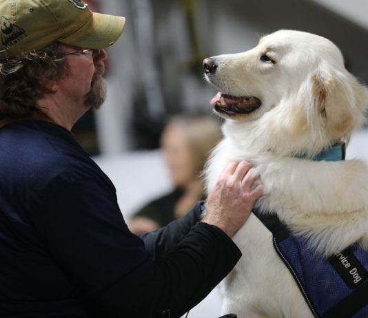 South Valley nonprofit marks 15 years saving people and dogs