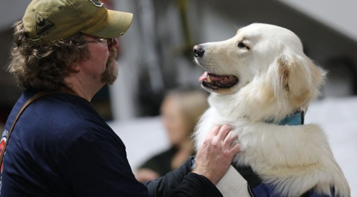 South Valley nonprofit marks 15 years saving people and dogs