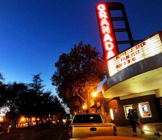 Local film fest prepares to celebrate 20th year in South Valley