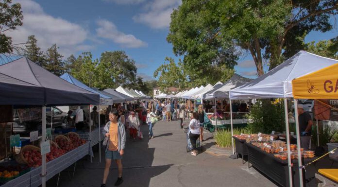 Farmers market moves across railroad tracks