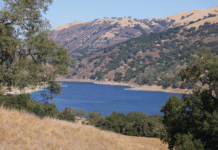 New boat inspection rules take effect June 15 in Santa Clara County