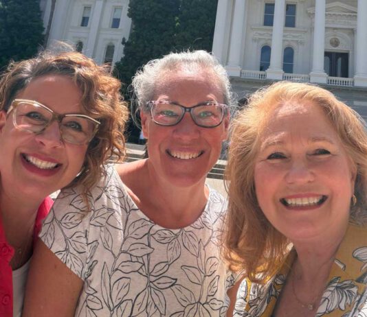 Community Solutions named District 28 Nonprofit of the Year