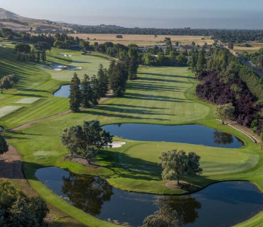 Exclusive The Institute Golf Club could soon host tournaments