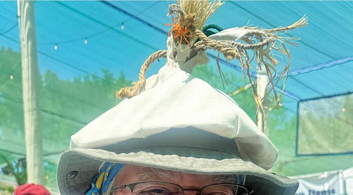 Gilroy Garlic Festival brings bigger crowd, more vendors