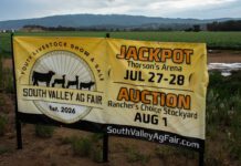 Inaugural Ag Fair puts local 4-H, FFA students in spotlight