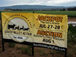Inaugural Ag Fair puts local 4-H, FFA students in spotlight