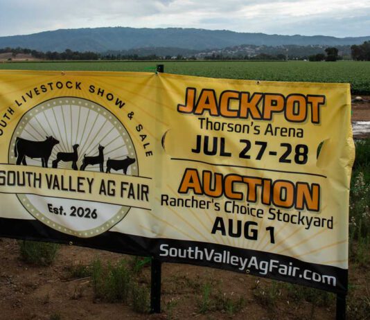 Inaugural Ag Fair puts local 4-H, FFA students in spotlight