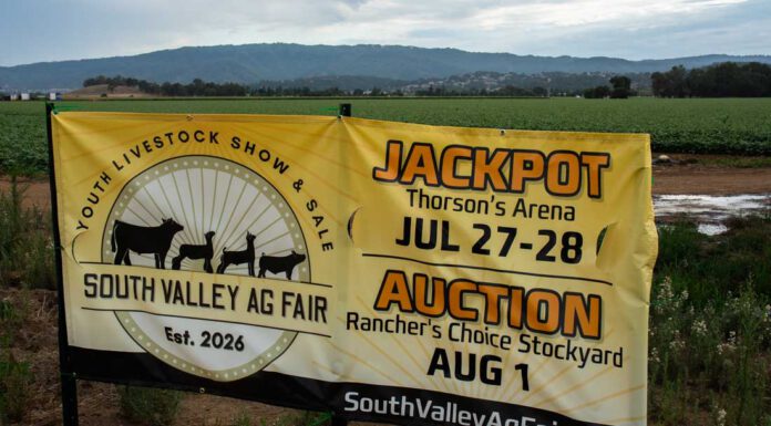 Inaugural Ag Fair puts local 4-H, FFA students in spotlight