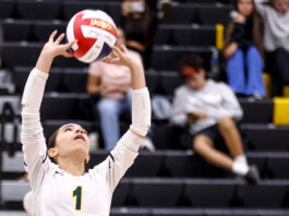 Morgan Hill Sports: Seniors Ledwith, Anaya lead Live Oak volleyball into league competition