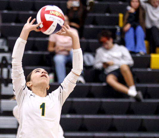 Morgan Hill Sports: Seniors Ledwith, Anaya lead Live Oak volleyball into league competition