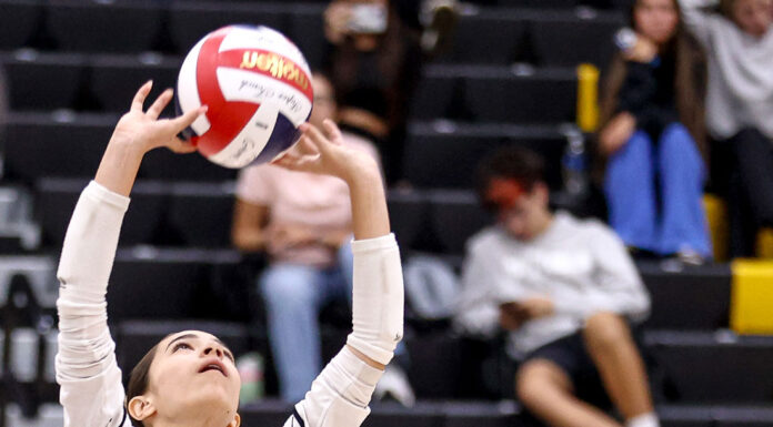 Morgan Hill Sports: Seniors Ledwith, Anaya lead Live Oak volleyball into league competition