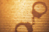 DA seeks no bail for Gilroy man accused of molesting children at summer camp