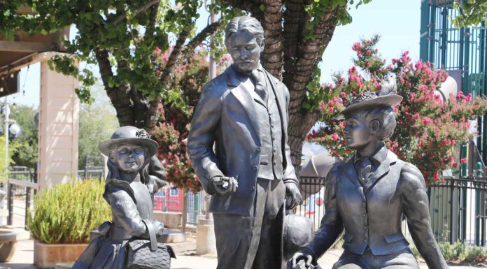 From the Publisher: Public art gives Morgan Hill a little more personality