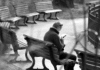 The Quiet Joy of Choosing How to Spend Free Time Around Town Illustration for the article The Quiet Joy of Choosing How to Spend Free Time Around Town