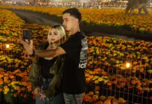 Picture perfect pumpkin patch