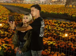 Picture perfect pumpkin patch