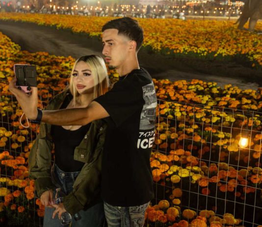 Picture perfect pumpkin patch