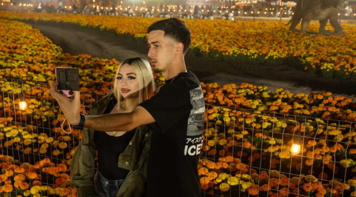 Picture perfect pumpkin patch